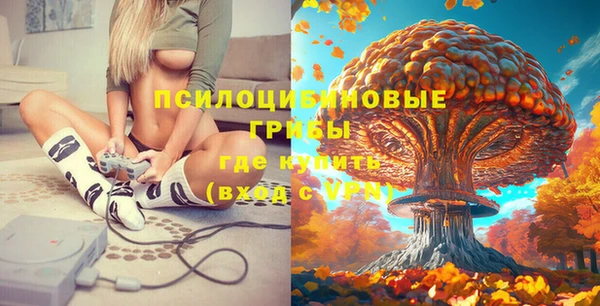 амф Алексеевка